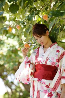 《芳心荡漾电视剧》