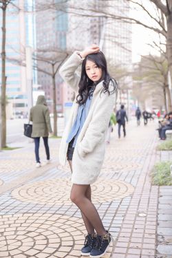 泰迪熊仙人掌