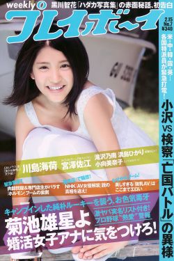 金装的维尔动画免费观看