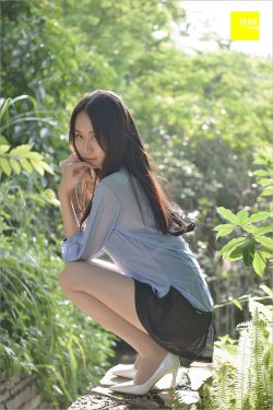 《翡翠凤凰电视剧》