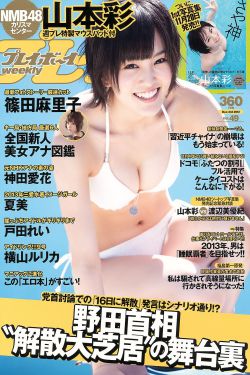 おねえさんとなつやすみ在线